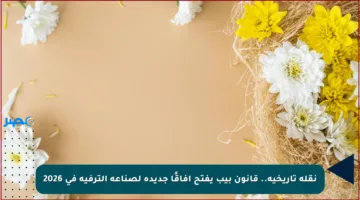 نقلة تاريخية.. قانون بيب يفتح آفاقًا جديدة لصناعة الترفيه في 2026